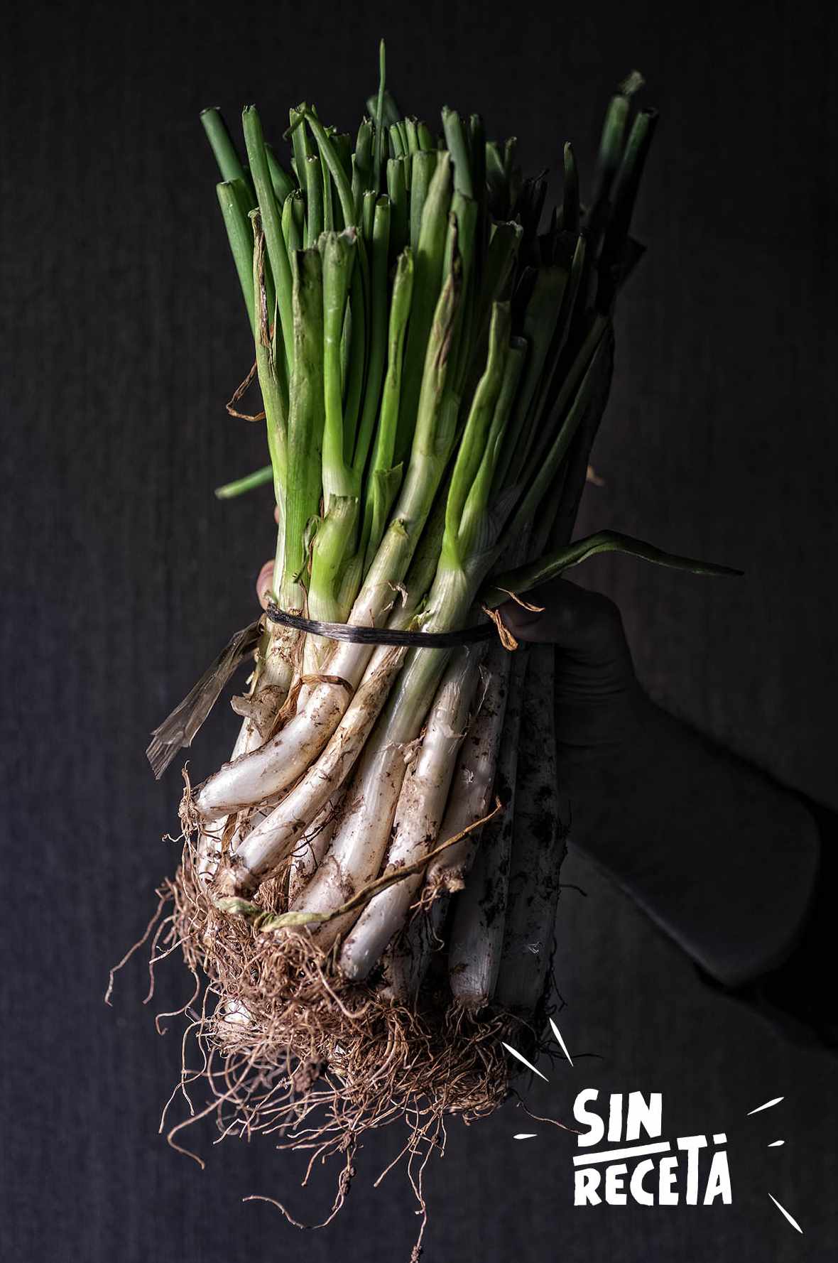 ¿Cuándo están listos los calçots?