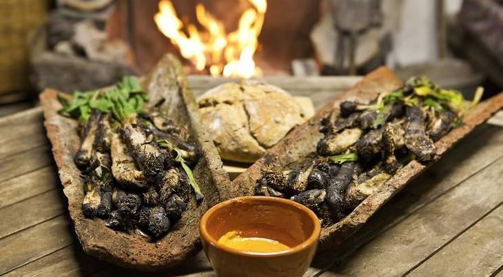 ¡Descubre cuál es la mejor leña para hacer los mejores calçots!