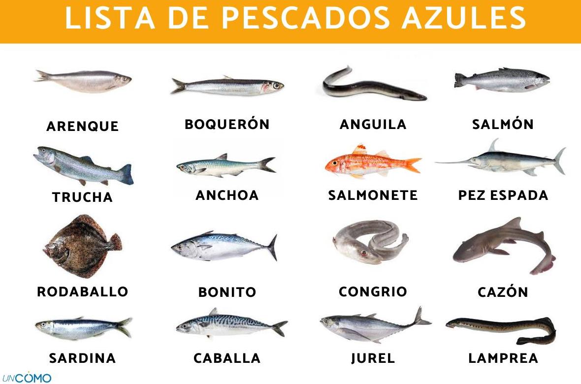 Descubre los diferentes tipos de sardinas